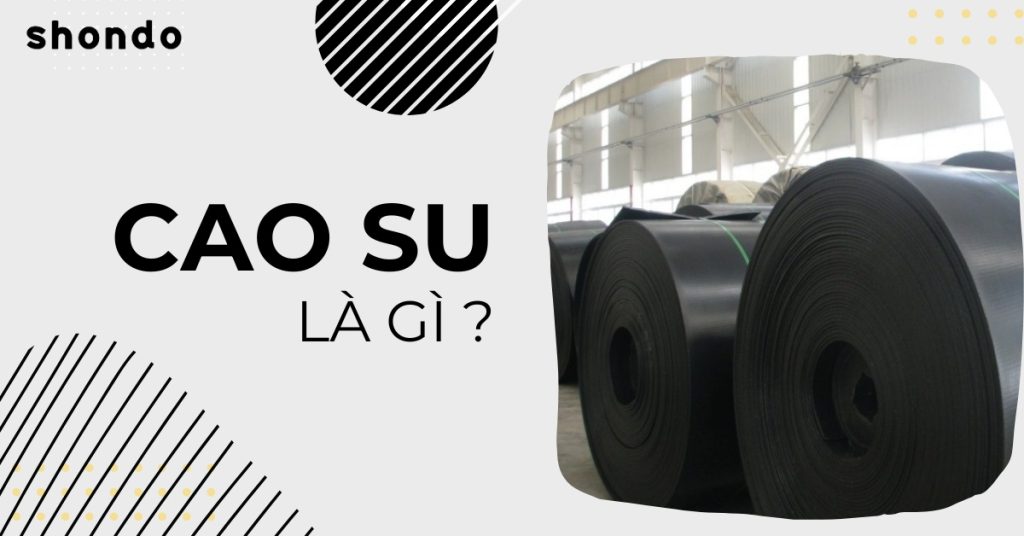 Cao su là gì? Đặc điểm, tính chất và ứng dụng của cao su