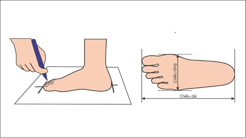 Đo chiều dài và chiều rộng chân