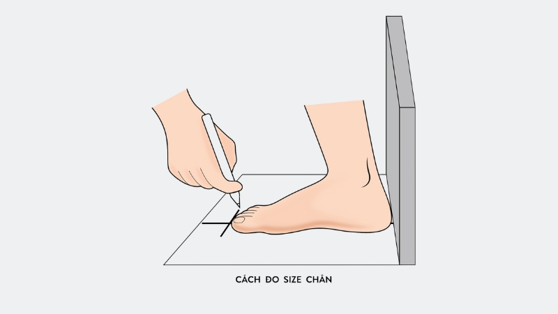 Đánh dấu gót chân và ngón chân dài nhất