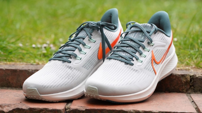 Nike Air Zoom Pegasus 39 siêu êm ái