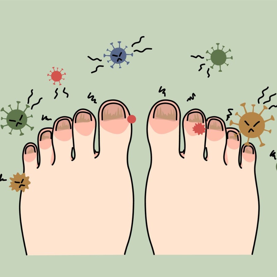 Bacteria and fungi