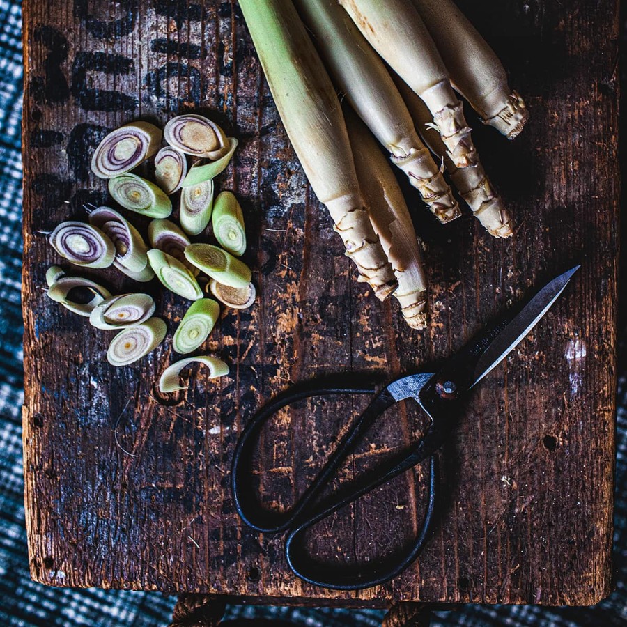 Use lemongrass solution