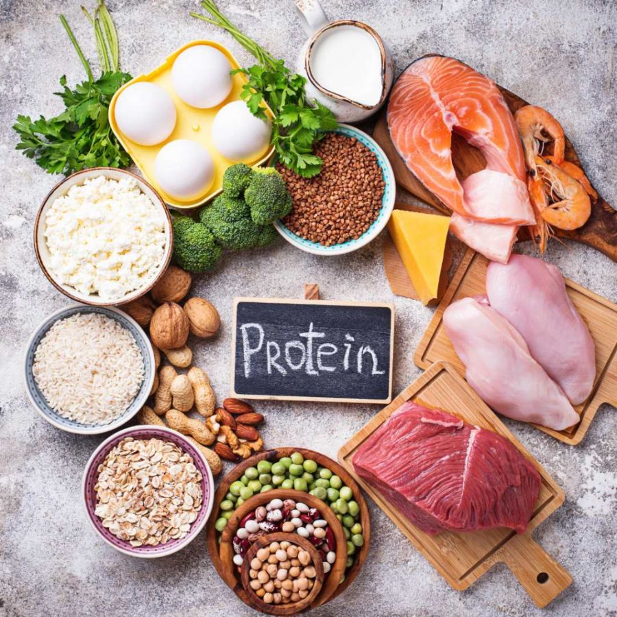 Protein rich diet